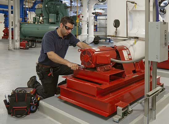 Motor rewind facility